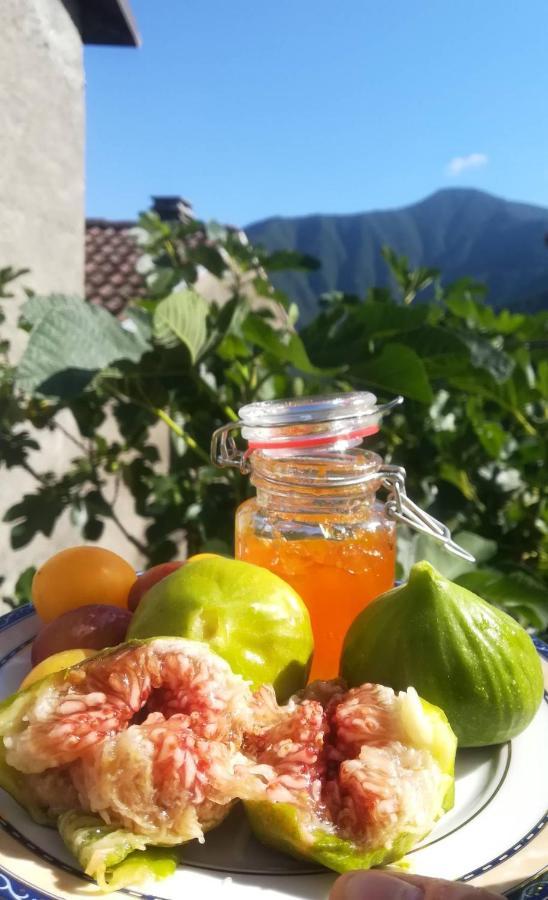 Al Corniolo Zerba Exterior foto